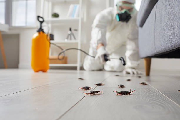 Trusted Cockroach Control service in Stokesdale, NC - Nex Pest Control