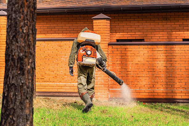 Trusted Ant Control service in Stokesdale, NC - Nex Pest Control